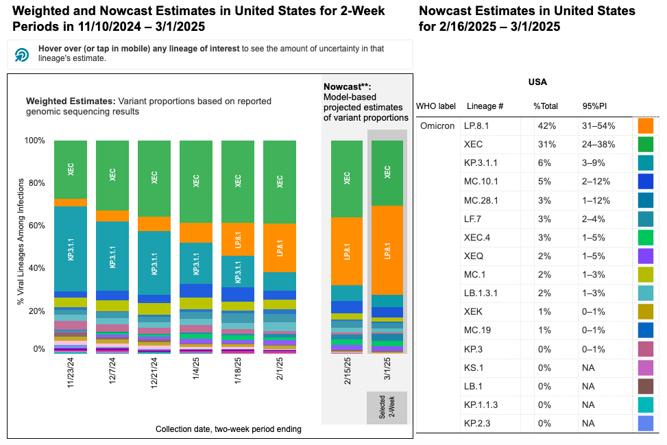 Two stacked bar charts with two-week periods for sample collection dates on the horizontal x-axis and percentage of viral lineages among infections on the vertical y-axis. Title of the first bar chart reads “Weighted Estimates: Variant proportions based on reported genomic sequencing results” with collection dates ranging from 11/23/24 to 2/01/2025. The second chart’s title reads “Nowcast: model-based projected estimates of variant proportions,” dates labeled 2/16/2025 and 3/1/2025. Within the 3/1/25 Nowcast projections, XEC (green) is at 31%, KP.3.1.1 (light teal) is 6% and LP.8.1 (ochre) 42%. Other variants are at smaller percentages represented by a handful of other colors as small slivers. The legend with a list of variants, proportions, and their associated colors is on the far right of the bar charts.