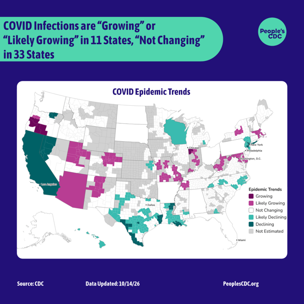 A map of the United States color-coded in shades of deep purple, purple, white and gray displaying the CDC COVID Model: Current Epidemic Growth Status based on emergency department visits as of October 14, 2026. Deep purple and purple tones indicate “Growing” and “Likely Growing”, deep teal and teal tones indicate “Declining” or “Likely Declining”, and white indicates “Not Changing.” Regions without predictions are represented in grey. The text above the map reads: “COVID Infections are growing or likely growing in 11 states.” Regions in Oregon and Indiana are represented in deep purple to indicate growing. The entire states of Arizona as well as regions in New Mexico, Utah, Colorado, Oregon, Missouri, Tennessee, Indiana, West Virginia, Maryland, Washington D.C., New York, Rhode Island, and Massachusetts are represented in purple to indicate “likely growing”. Regions in Texas, Kansas, Louisiana, Mississippi, Georgia, North Carolina, Michigan, New York, New Jersey, and the entire states of Wisconsin and Hawaii are represented in teal to indicate likely declining. The entire state of California and regions of Oregon, Nevada, Texas, Louisiana, New York and New Jersey are represented in deep teal to indicate declining. All remaining states and regions are represented in white, meaning not changing, or grey, meaning not estimated. Text at the bottom reads “Source: CDC / Data Updated: October 14, 2026 / PeoplesCDC.org.”